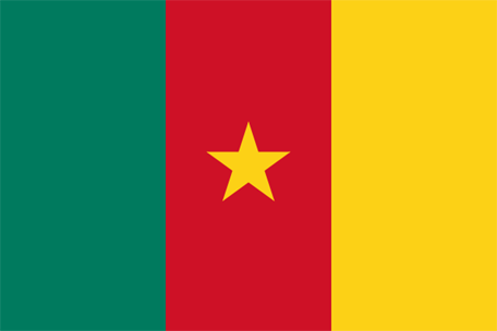 Flag of Cameroon