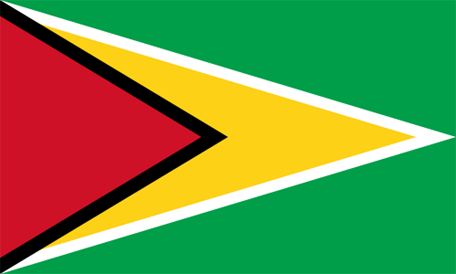 Flag of guyana