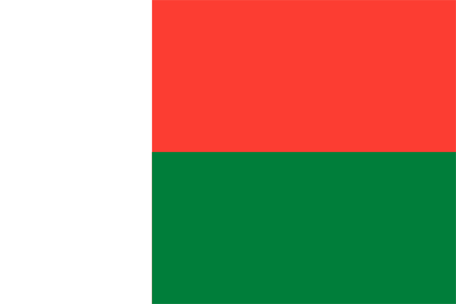 Flag of madagascar