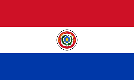 Flag of paraguay