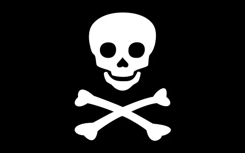 Jolly Roger - the Pirate flag