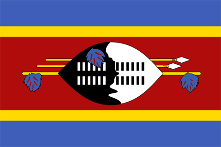 Flag of swaziland