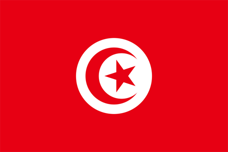 Flag of tunisia