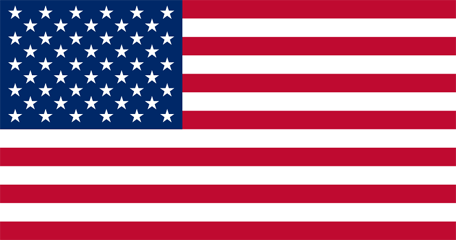 Flag of usa