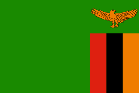 Flag of zambia